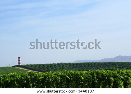 A red and white tower stores water amid the vineyards