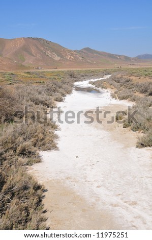 Alkaline deposits create stark white areas, Soda Lake, Carrizo Plain National Monument, California