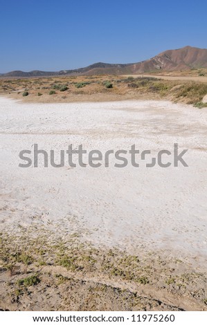 Alkaline deposits create stark white areas, Soda Lake, Carrizo Plain National Monument, California