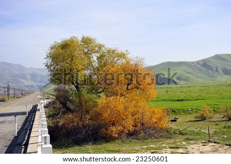 Bridge on narrow country road, California foothills
