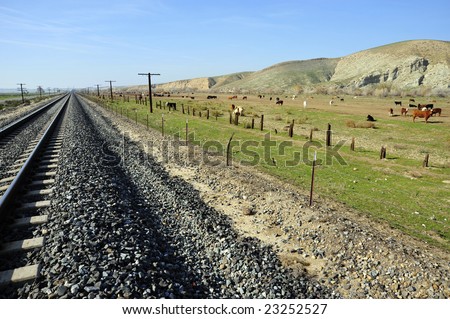 Cattle feed lot between railroad tracks and San Joaquin Valley (California) foothills