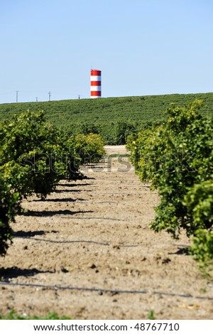 The colorful red and white stripes of a water storage tower viewed from a California almond orchard