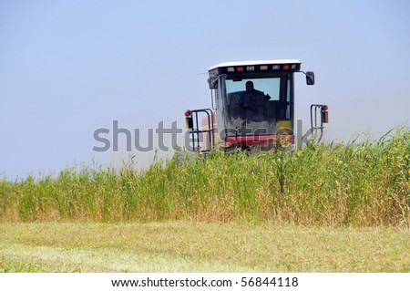 Mowing alfalfa for hay on a California farm