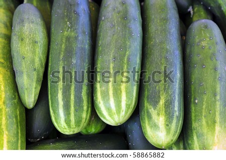 Colorful produce on display at a farmers\' market: Cucumbers