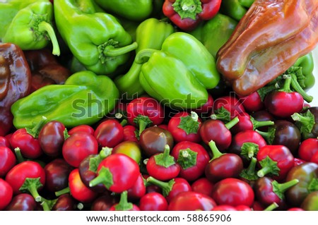 Colorful produce on display at a farmers' market: Peppers