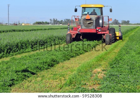 Mowing alfalfa for hay on a Central California farm