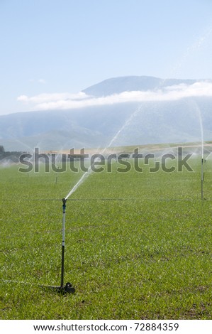 Irrigating a field in spring on a Central California farm