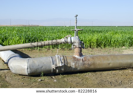 Portable irrigation piping installed in a California farm field