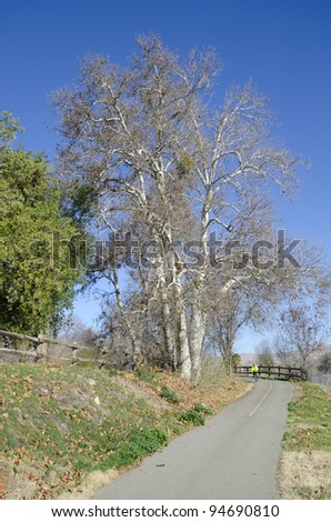 Two cyclists enjoy sunny California winter weather on a bike trail