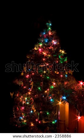 Christmas tree being illuminated by its own lights