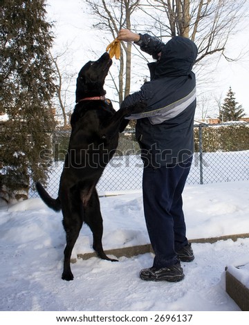 Man on a cold winter day teasing his very large dog