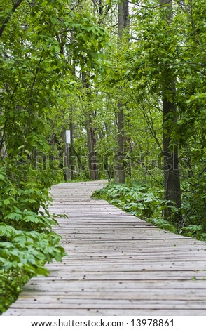 Wooden path winding through a wooded area.  Photograph taken at Second Marsh in Oshawa, Ontario.