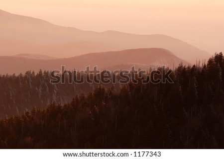 A late autumn snow on the trees of the Smokies, painted pink in the sunset light.  Smoky Mountains Nat. Park, USA.