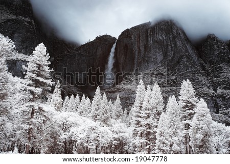 Yosemite Falls (From Sentinel Meadow) in False-color Infrared.