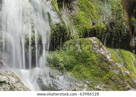 Water falls over moss covered rocks