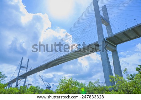 Talmadge Memorial Bridge, savannah georgia