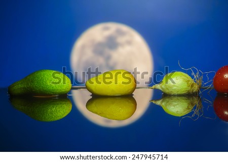group of fresh local organic produce in water with reflection in front of moon green and yellow cucumbers, onion, tomato