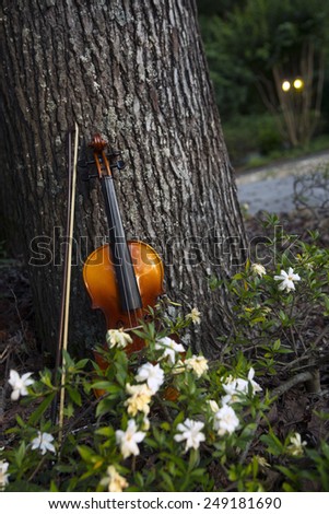 violin leaning on sweet gum tree in a bed of gardenias macon, georgia