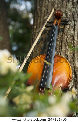 violin leaning on sweet gum tree in a bed of gardenias macon, georgia