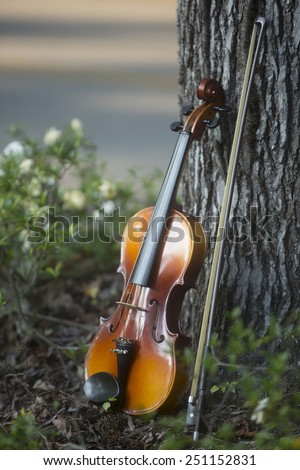 Violin leaning on a sweet gum tree in a bed of gardenias. Macon, Georgia