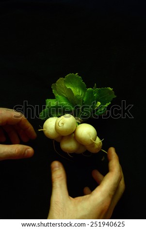 Hands with Organic locally grown turnips in a bundle on paper bag background