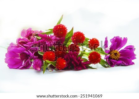 Spring flowers laying on a white background
