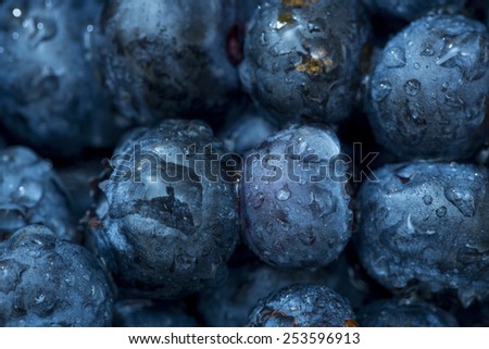 macro closeup of organic blueberries