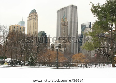 Winter Snow in Central Park, New York City