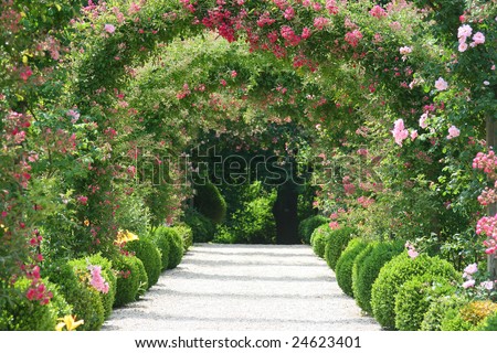 Rose Arch In the Garden