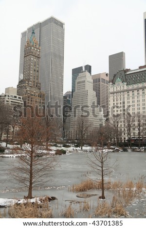 Winter in central park, New York City