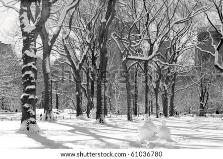 central park new york winter. in Central Park, New York
