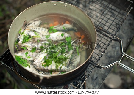 preparing a soup of fish (the young of pink salmon, which stay to live in the rivers, after hatching from caviar)