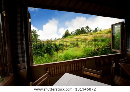 view from window at a wonderful rice terraces. Bali, Indonesia