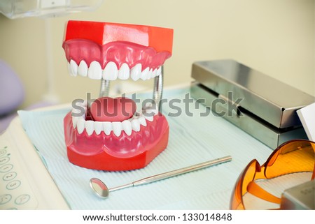 toy jaw in cabinet of dental clinic.