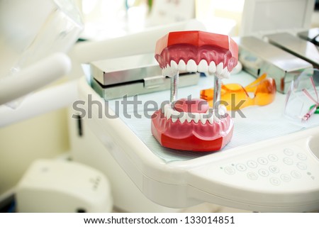 toy jaw in cabinet of dental clinic.