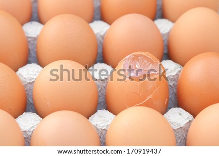 Raw break egg contained in paper tray.