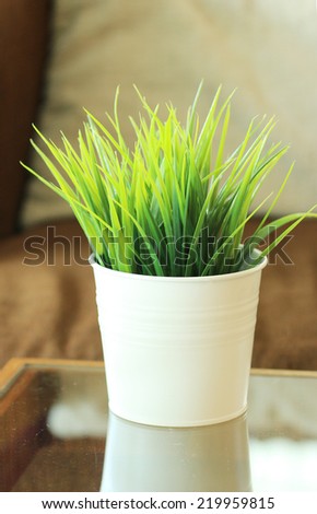 Green grass leaves in pot, put on table.