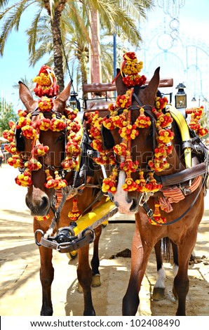 Horses decked in the horse fair in Jerez de la Frontera, Spain