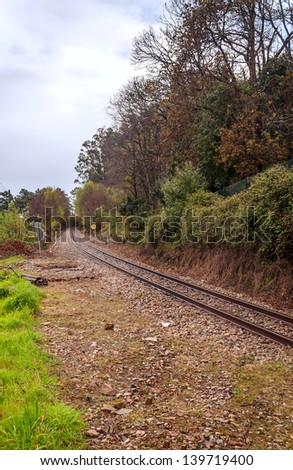 Train rails located in Asturias is surrounded by trees and leaves of different colors is a picture vertically