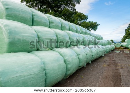 Bales of haylage wrapped in plastic and stacked in storage