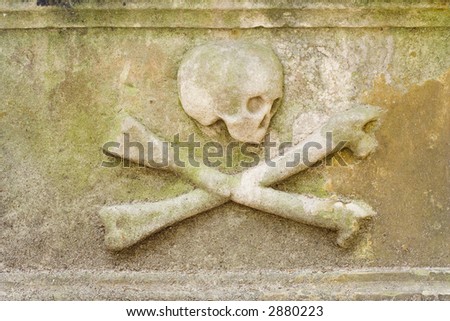 Skull and cross bones on in a grave yard.