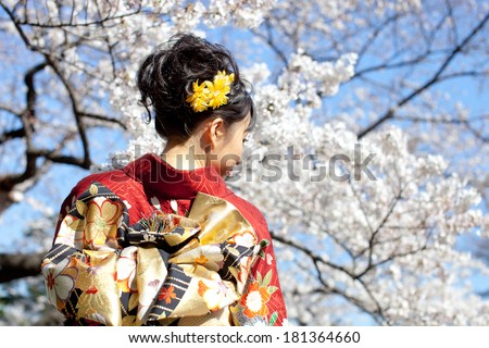Beautiful young woman in Japanese Kimono viewing cherry blossoms in the garden. Spring in Japan.