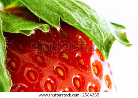 Close up of a strawberry. Super macro