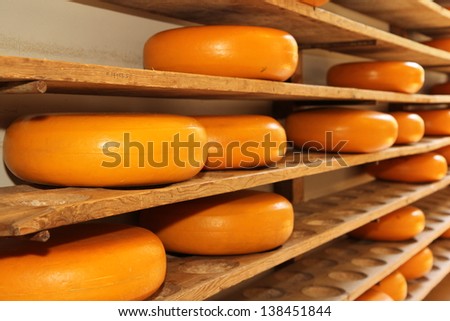 dutch whole cheeses on a shelve