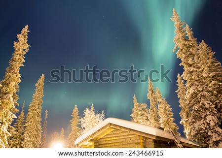 Northern light (aurora Borealis) above a cabin in the Woods between snowed pine trees, Lapland Finland