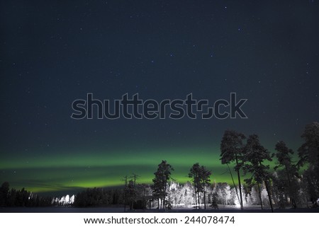 Northern light (aurora Borealis) above a cabin in the Woods between snowed pine trees, Lapland Finland