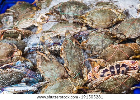 Crab in seafood market.
