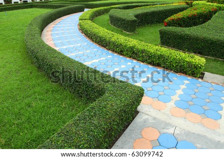 Stone walkway in garden