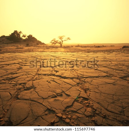Dry Landscape