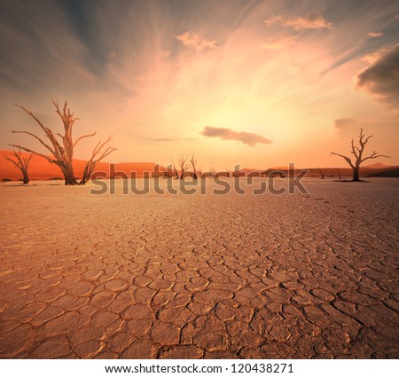 Dead Valley In Namibia
